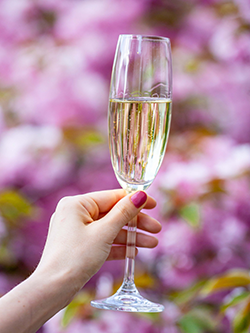 Cheers to Spring on the North Fork 