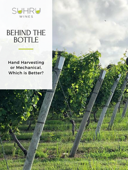 Behind the Bottle: Hand of Mechanical Harvesting, Which is Better?
