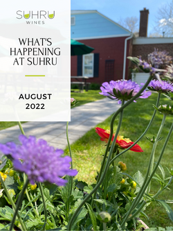 Suhru Wines, What's Happening August 2022