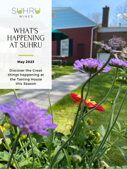 What's Happening at Suhru | May 2023