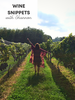 Wine Snippets with Shannon: Introduction