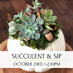 Succulent & Sip