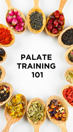 Palate Training 101